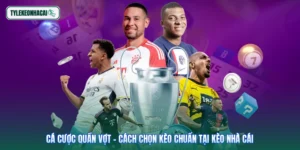 Cá Cược Quần Vợt - Cách Chọn Kèo Chuẩn Tại Kèo Nhà Cái