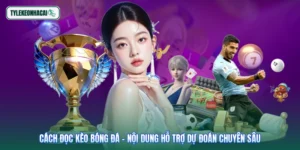 Cách Đọc Kèo Bóng Đá - Nội Dung Hỗ Trợ Dự Đoán Chuyên Sâu