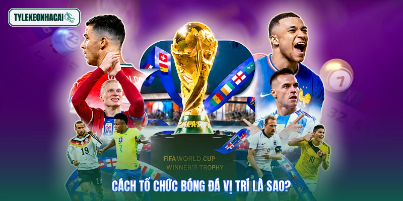 Cách tổ chức bóng đá vị trí là sao?