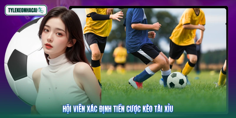 Hội viên xác định tiền cược kèo tài xỉu