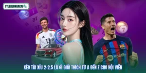 Kèo Tài Xỉu 2-2.5 Là Gì Giải Thích Từ A Đến Z Cho Hội Viên