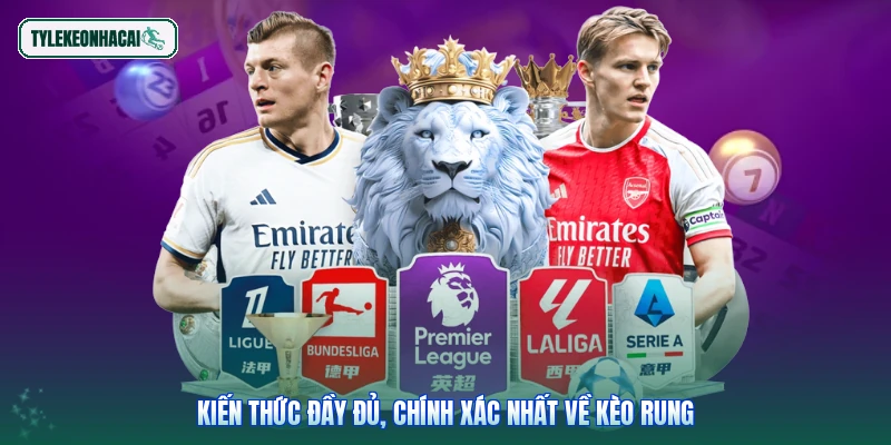 Kiến thức đầy đủ, chính xác nhất về kèo rung