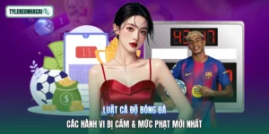 Luật Cá Độ Bóng Đá | Các Hành Vi Bị Cấm & Mức Phạt Mới Nhất