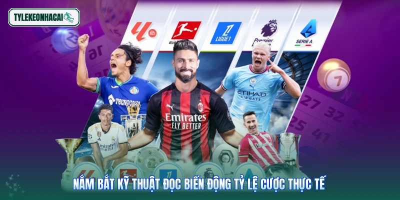 Nắm bắt kỹ thuật đọc biến động tỷ lệ cược thực tế