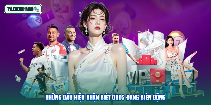 Những dấu hiệu nhận biết Odds đang biến động
