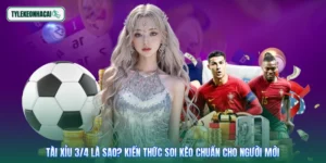 Tài Xỉu 3/4 Là Sao? Kiến Thức Soi Kèo Chuẩn Cho Người Mới