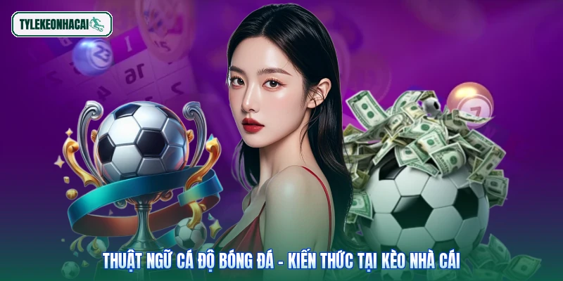 Thuật Ngữ Cá Độ Bóng Đá - Kiến Thức Tại Kèo Nhà Cái