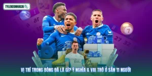 Vị Trí Trong Bóng Đá Là Gì? Ý Nghĩa & Vai Trò Ở Sân 11 Người